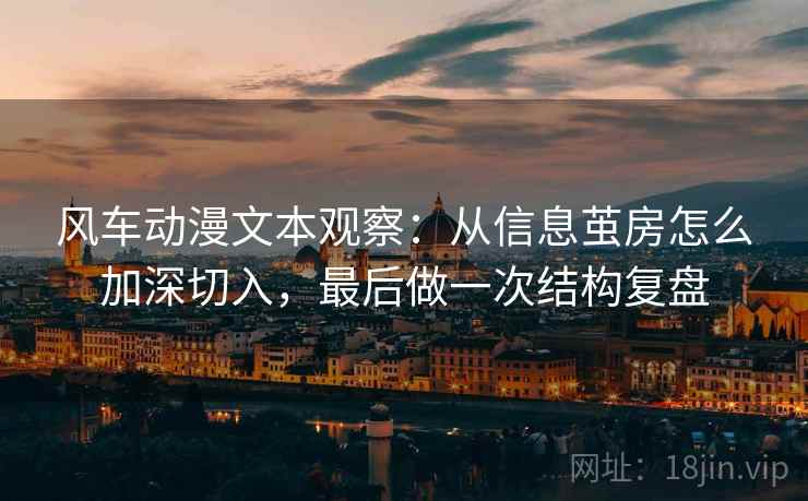 风车动漫文本观察：从信息茧房怎么加深切入，最后做一次结构复盘